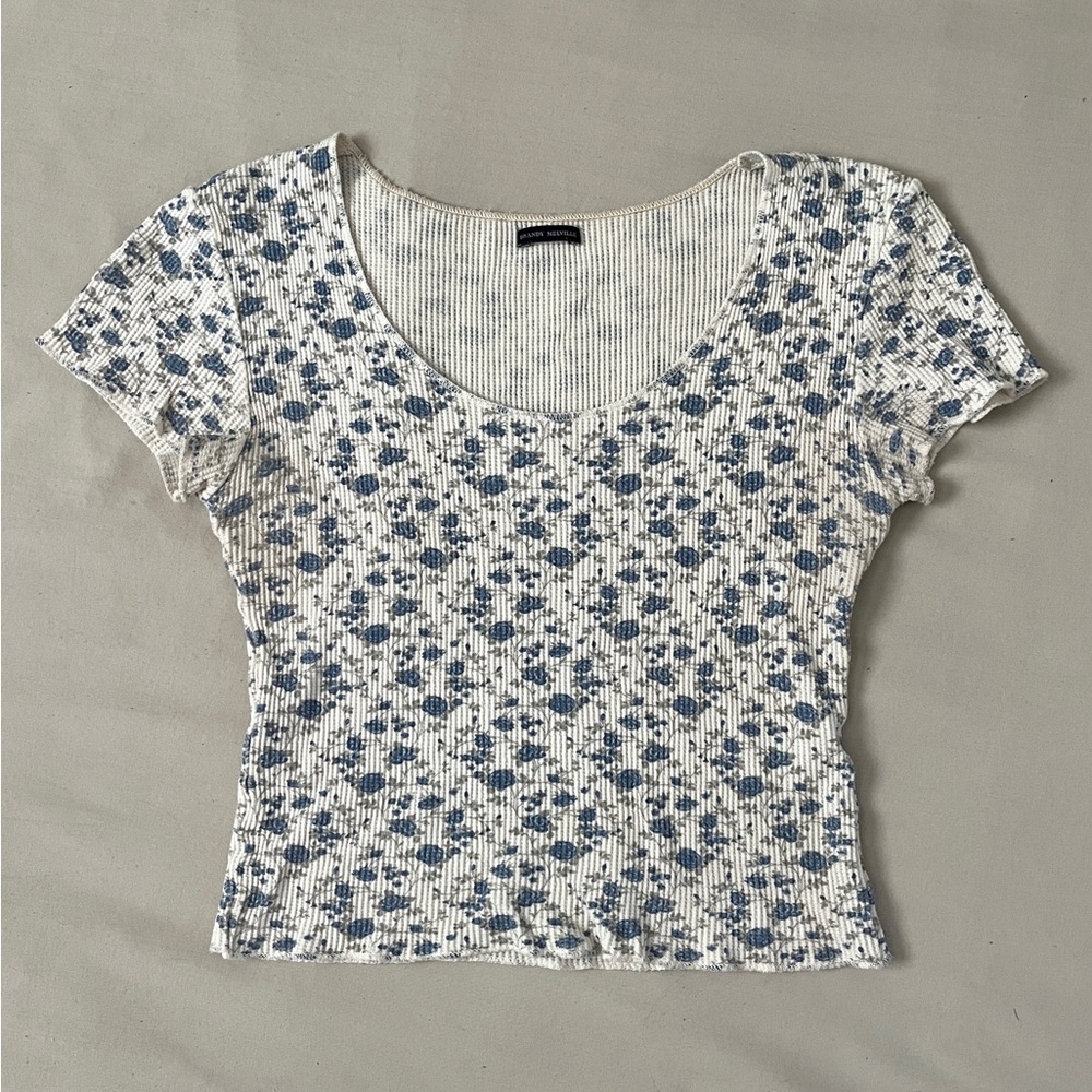 Brandy Melville Blue Floral Cropped Tee
